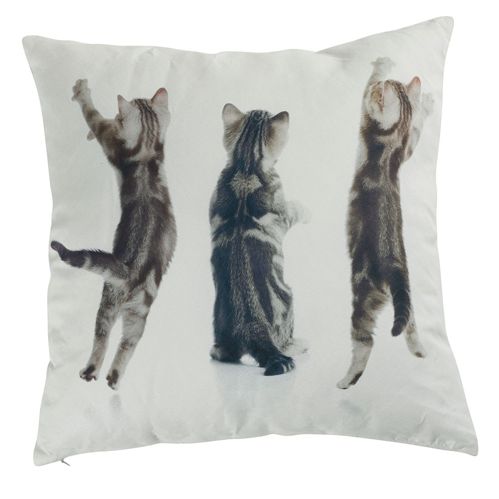 Coussin biface 3 chatons tigrés