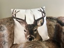 Coussin Tête de CERF biface 45x45