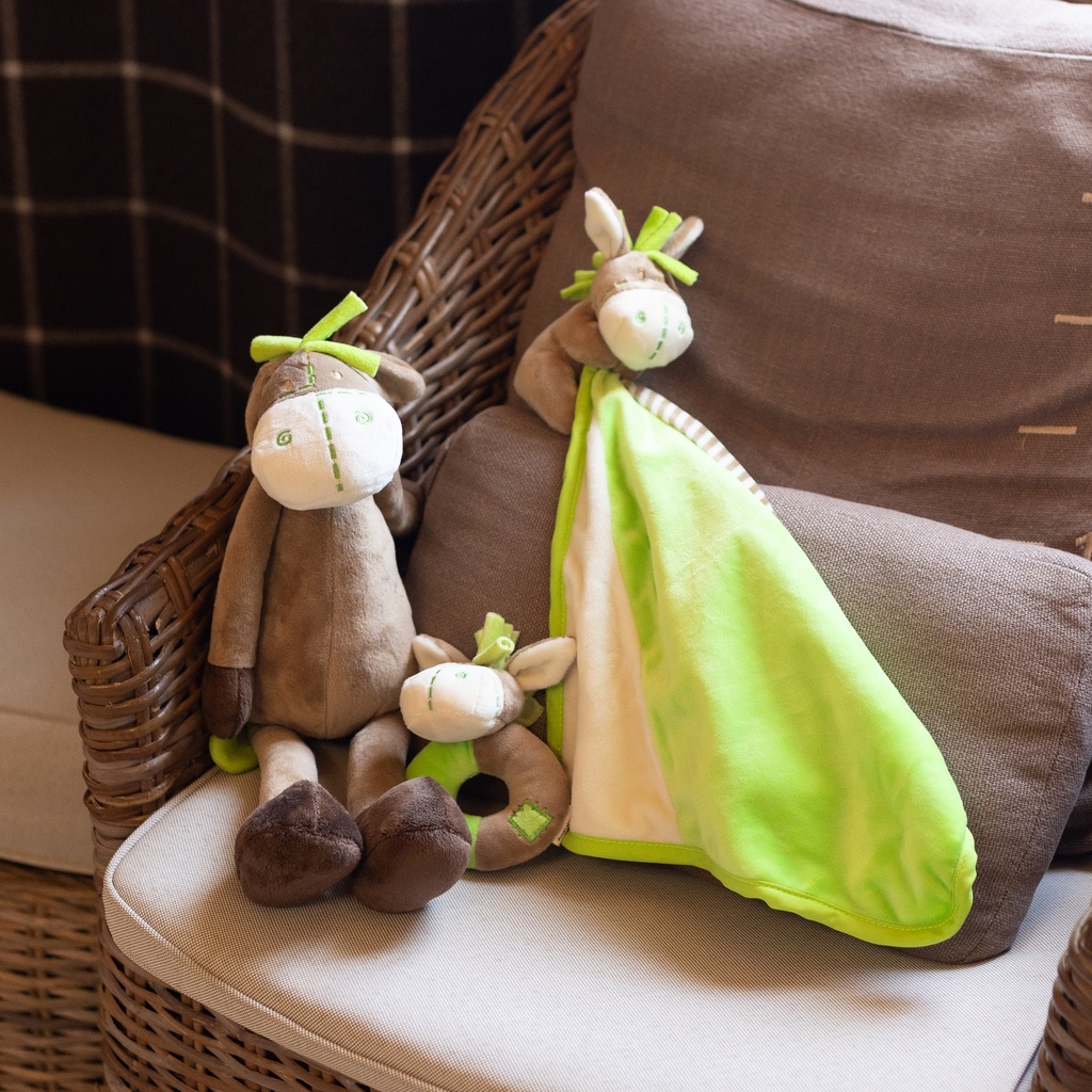 Coffret Bébé Ane