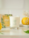 Bougie Végétale 180g Duo CITRON & BASILIC - LES LUMIERES DU TEMPS 55H