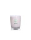 Bougie Végétale 180g Duo CITRON & BASILIC - LES LUMIERES DU TEMPS 55H