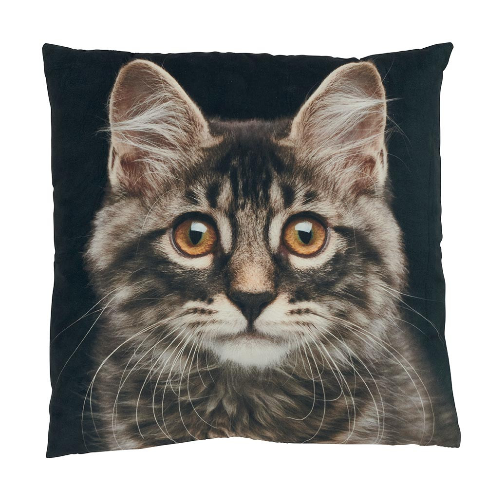 Coussin Tête de CHAT sur fond