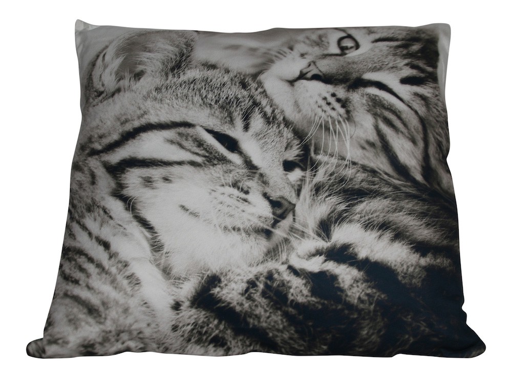 Coussin 2 Chats Tigrés