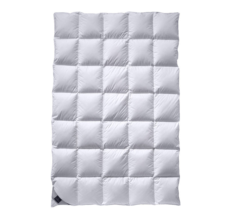 Couette 200/200 Plumes et Duvet BILLERBECK Lit Simple