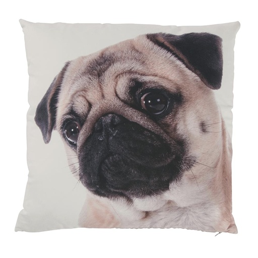 [SMA046] Coussin CHIEN Carlin sur fond blanc 45 x 45 cm