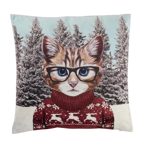 [SMA059] Coussin CHAT SKIEUR 45cm