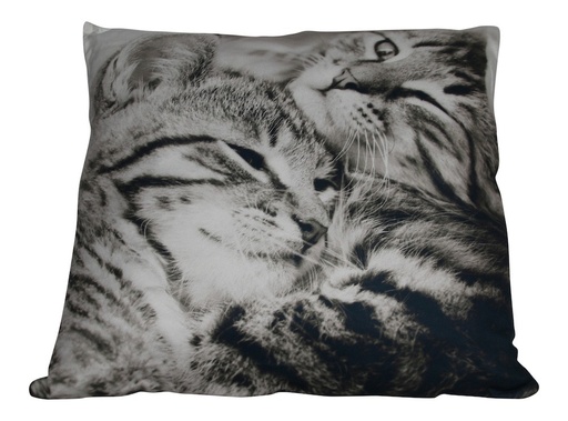 [SMA018] Coussin 2 Chats Tigrés