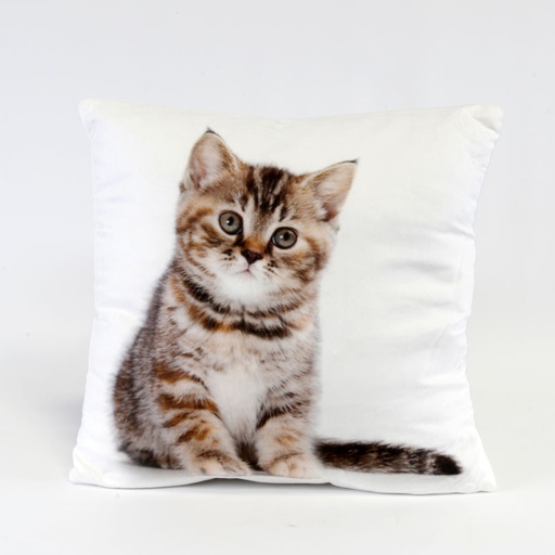 [SMA023] Coussin biface chaton tigré marron