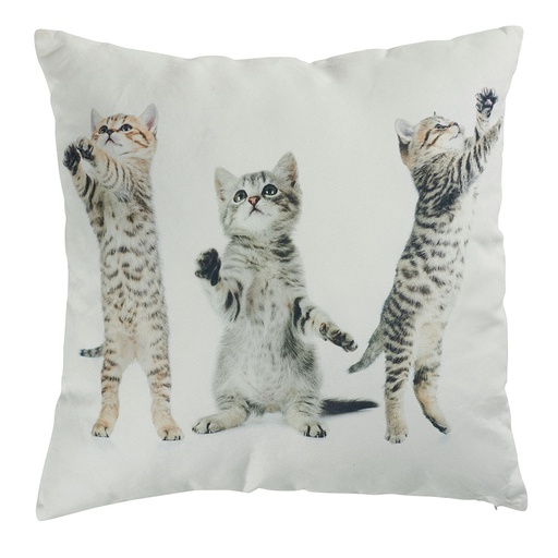 [SMA021] Coussin biface 3 chatons tigrés