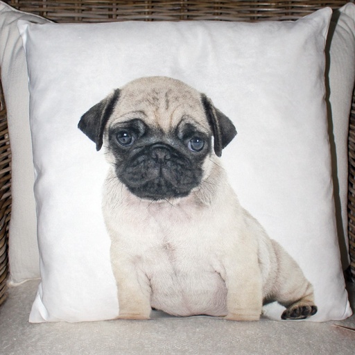 [SMA025] Coussin Chien Chiot Carlin 45 x 45 cm