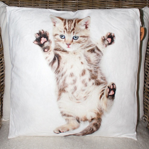 [SMA024] Coussin CHAT déhoussable 45 x 45 cm