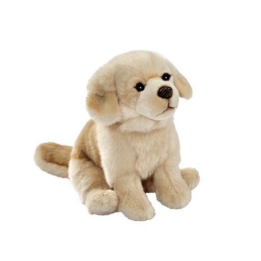 [1641] Peluche Golden Retriever ANIMA 30 cm