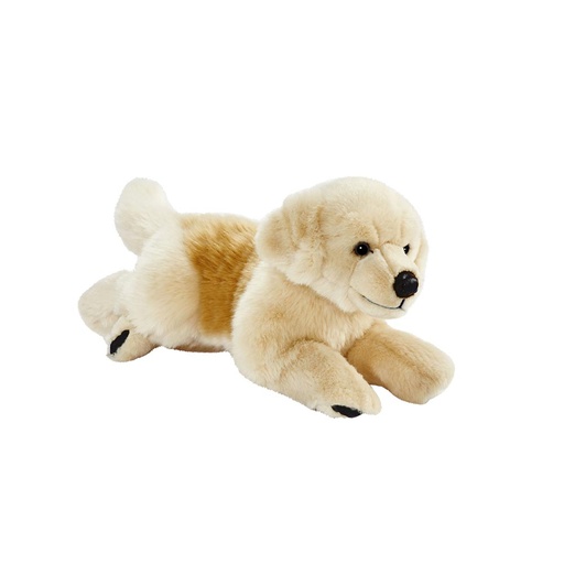 [1650] Peluche Golden Retriever ANIMA 42 cm