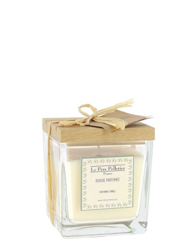 [PAU01POCA] Bougie Végétale 220g  Pomme Caramel - LE PERE PELLETIER 40H Collection Authentique Noël
