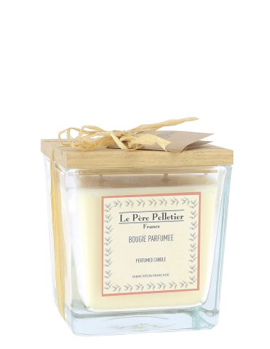 [PAU02FOSA] Bougie Végétale 450g  Forêt de Sapins - LE PERE PELLETIER 100H Collection Authentique Noël 